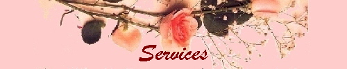 Services